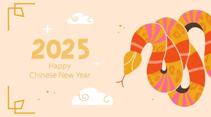 Spring Festival Holiday Notice 2025-1